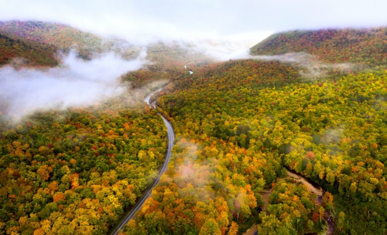 New Hampshire Fall Foliage Guide - New England