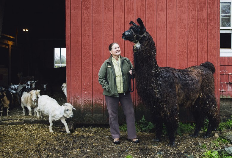 Farmer Krista Diego at Mountain View Farm in Whitefield, New Hampshire with one of her charges Whiskey the llama.