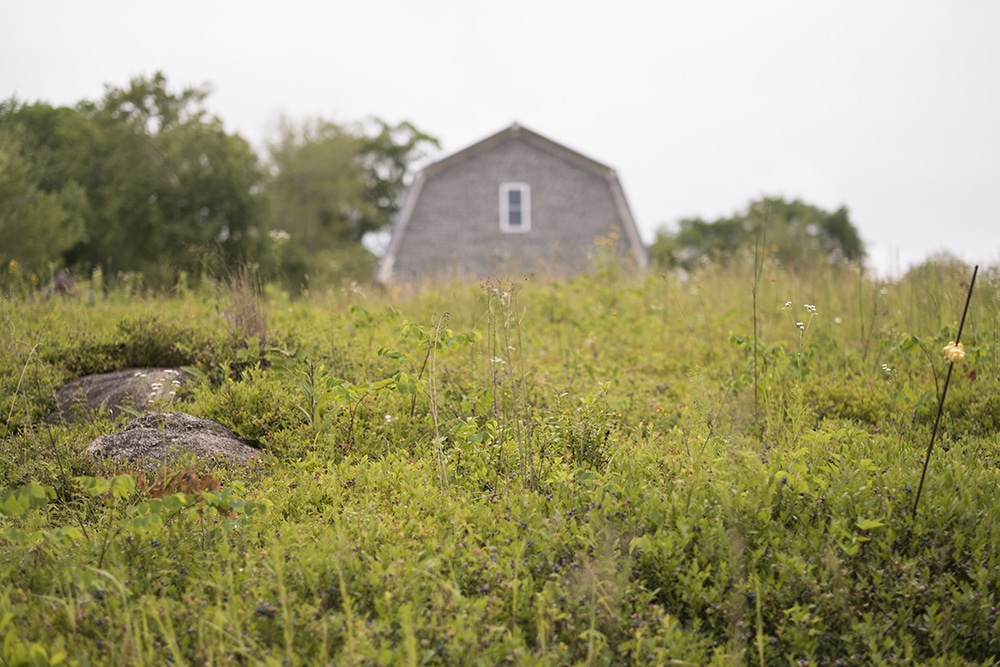 Lymburner Farm boasts 150 acres and borders the Bagaduce River in Brooksville, Maine.