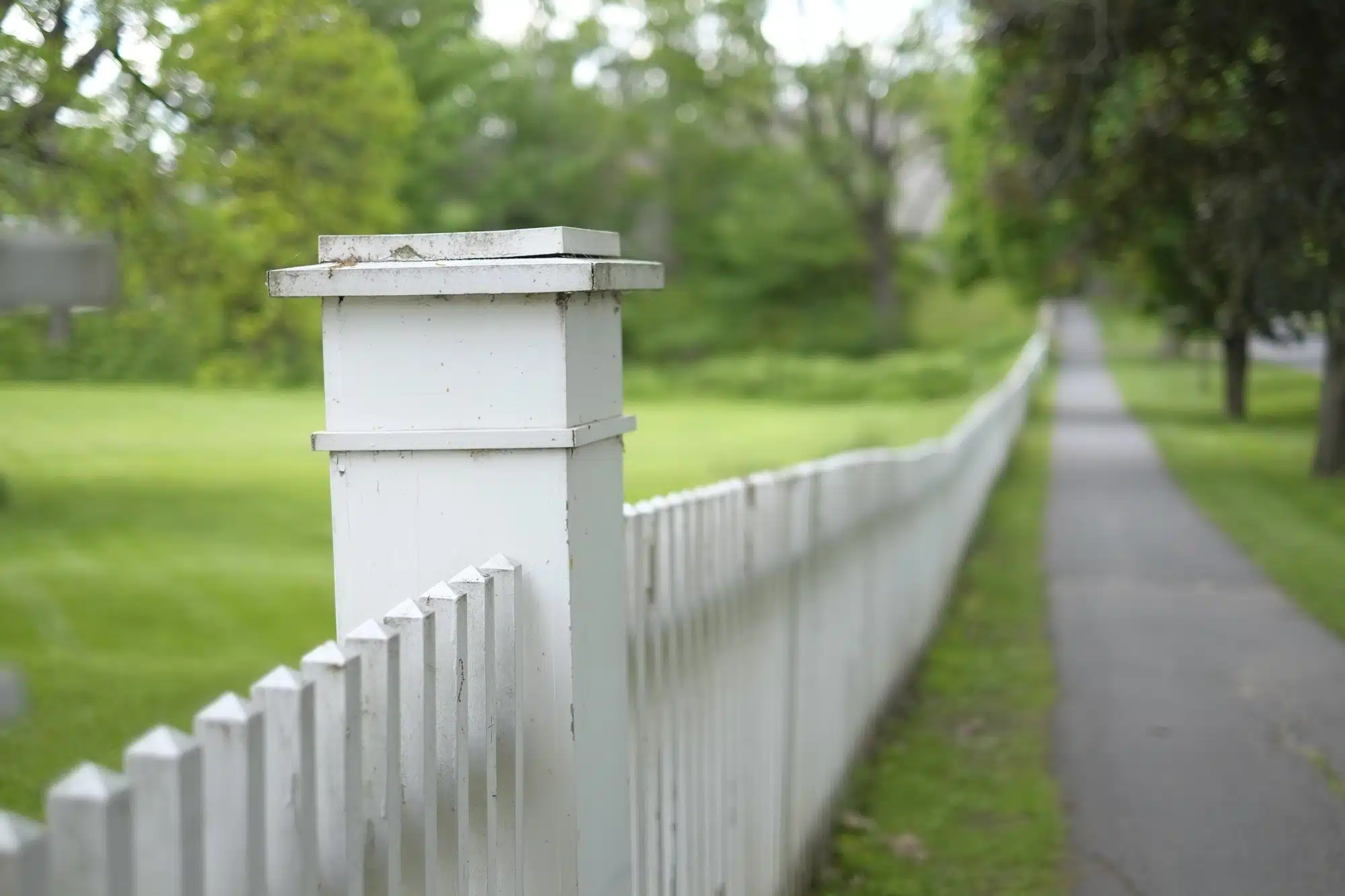 A colonial picket fence draws a line along the extensive lawn at Williams House.