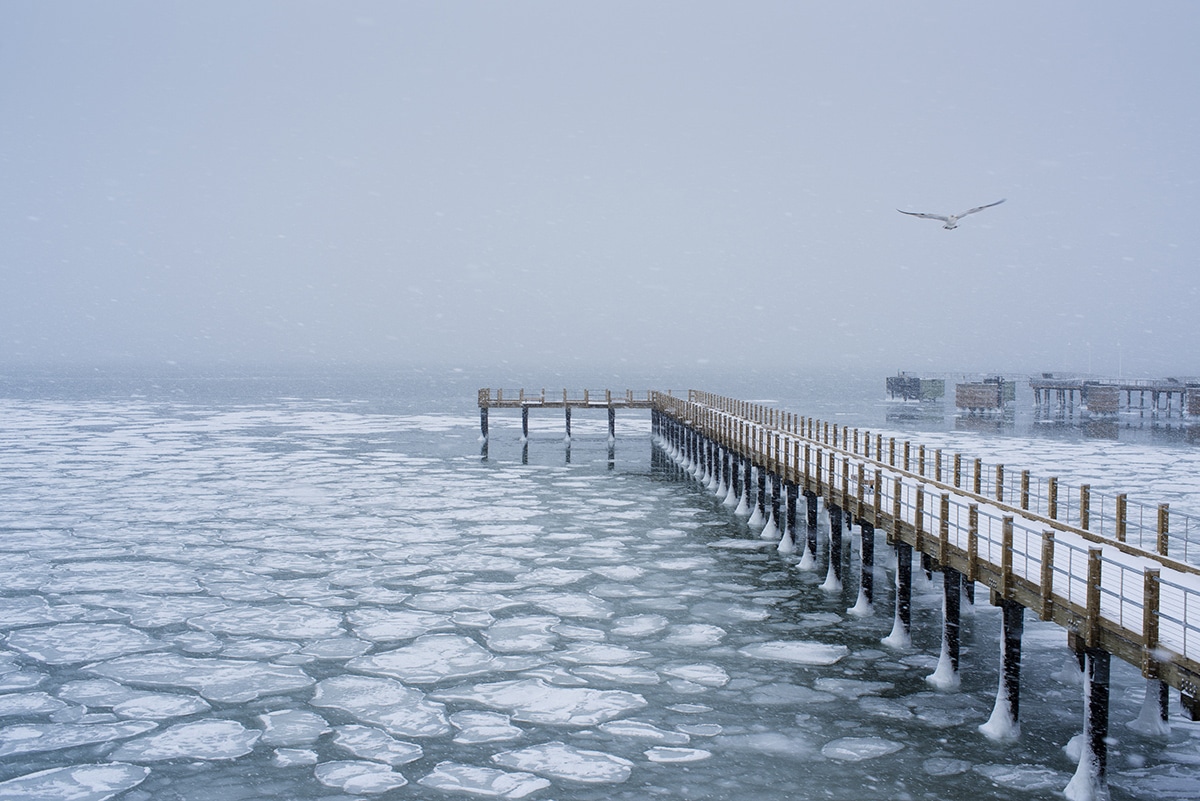 Dreamy Scenes from Martha’s Vineyard | Featured Photographer Alison Shaw