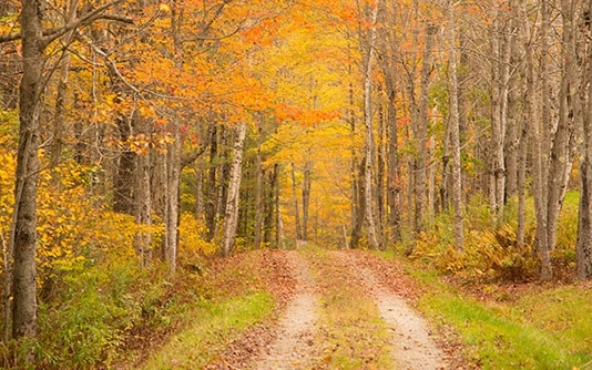 10 Best Fall Road Trips in New England