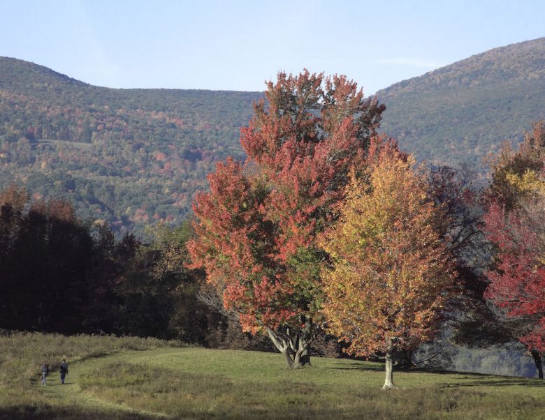 Best Foliage Town in Every New England State