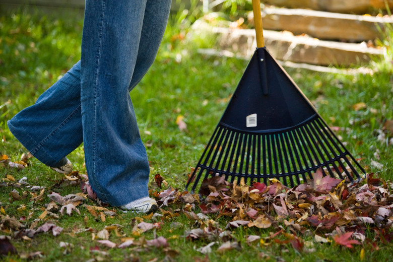 The Encyclopedia of Fall: R is for Raking - New England Today