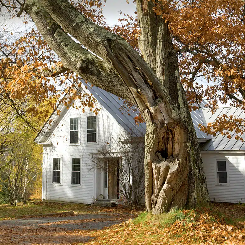 Making a house yours sometimes means building upon all that came before.