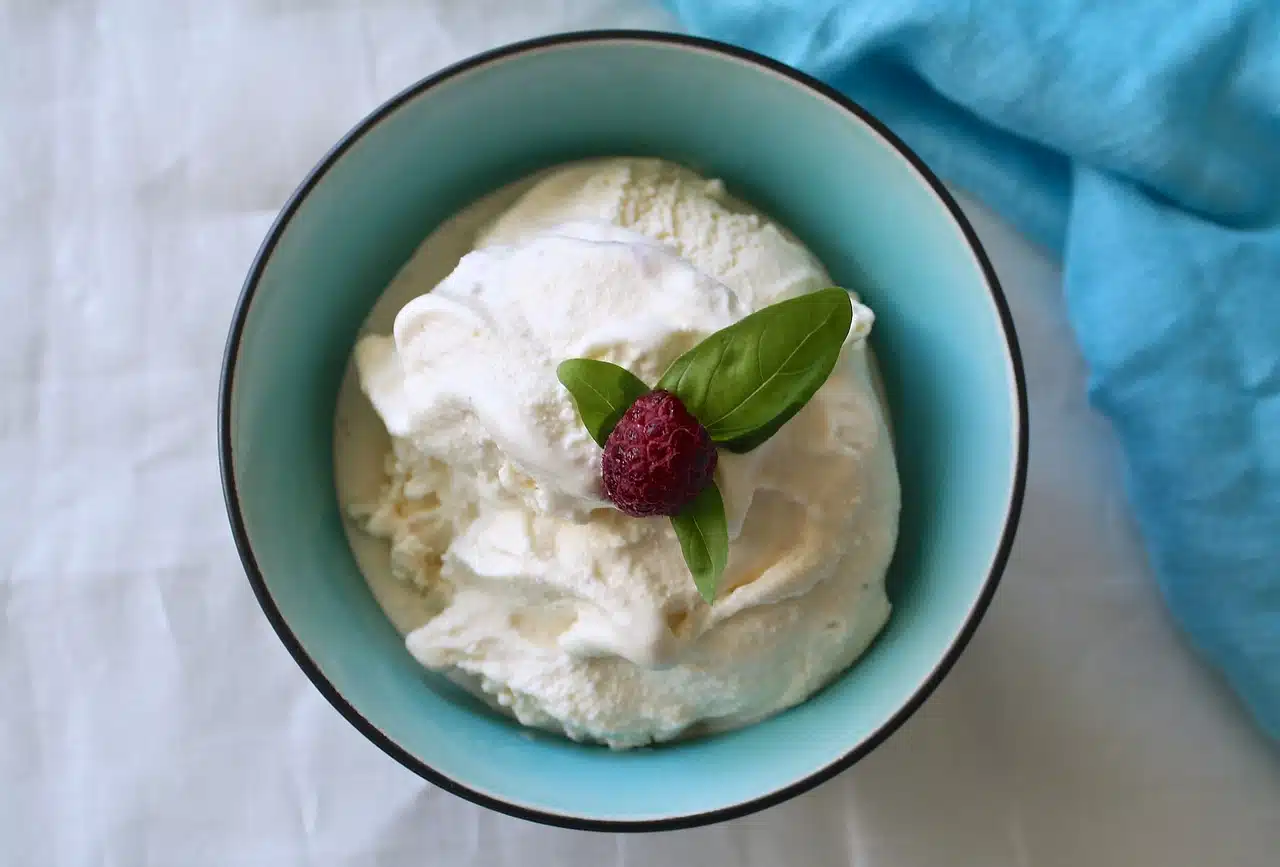 Homemade Ice Cream | Tips from Ice Cream Guru Gus Rancatore