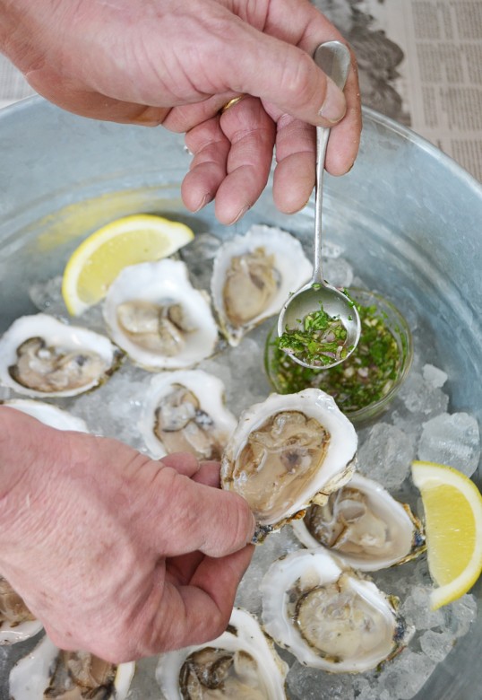 How to Shuck Oysters Oyster Shucking & Eating Advice