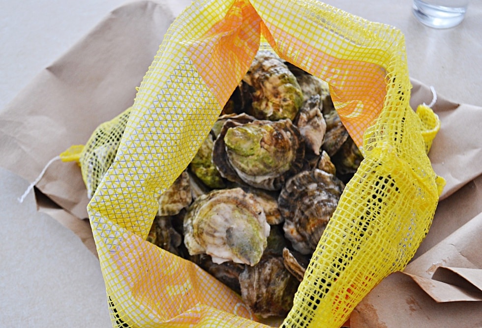 Oysters Online with Island Creek Oysters New England Today