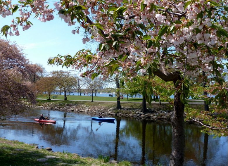 kayaking boston