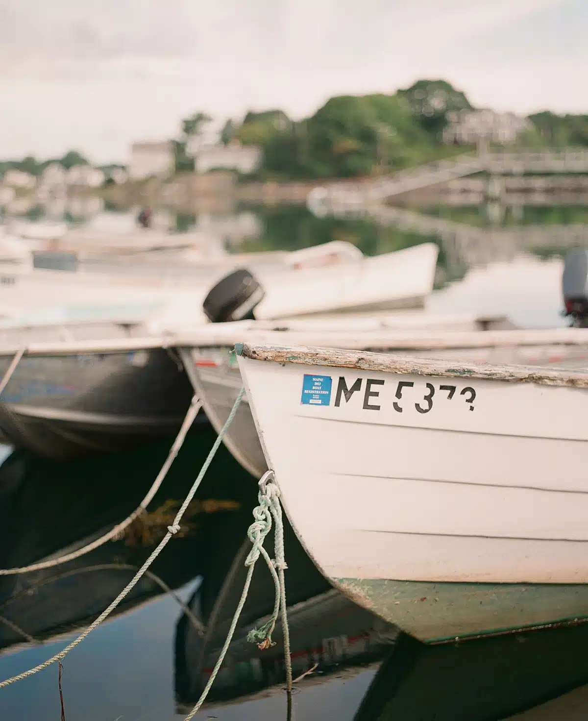 Bows - Kennebunkport, ME