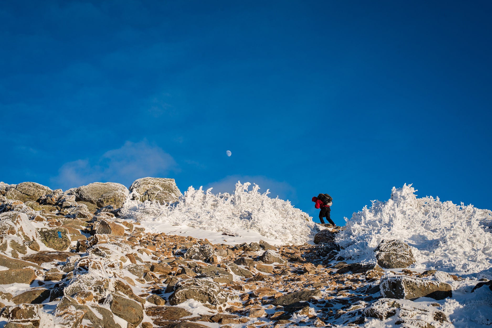 Rime ice on Little Haystack Mountain in Franconia Notch.