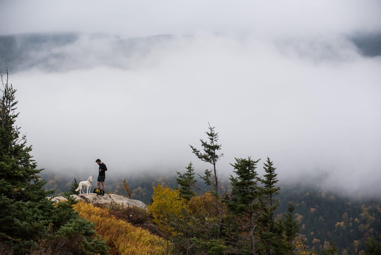 10 Best White Mountain Day Hikes New England