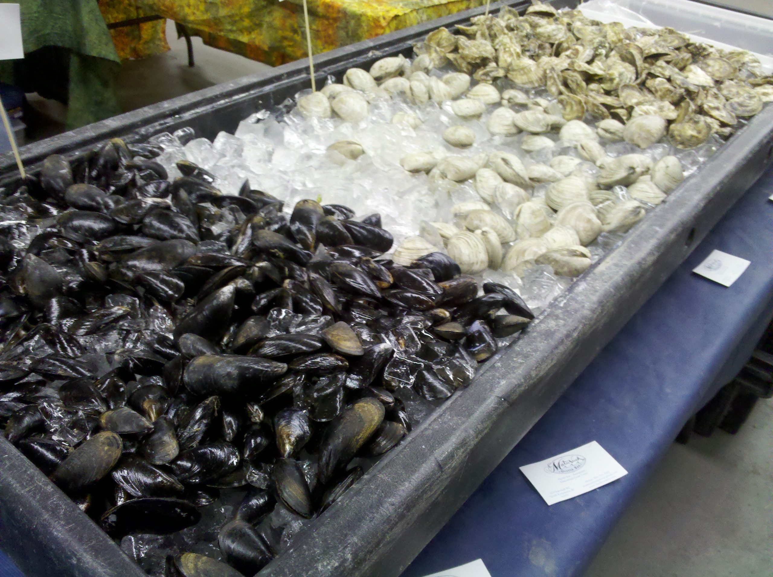 Fresh shellfish from Matunuck