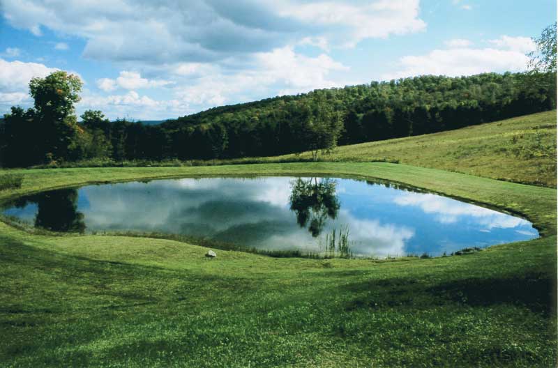 How to build a backyard pond -- tips from a professional pond builder
