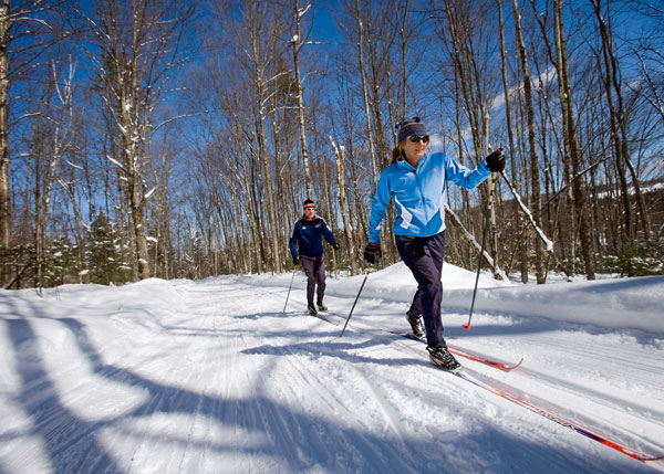 Cross Country Skiiers