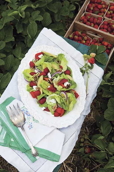 Strawberry Butter-Lettuce Salad