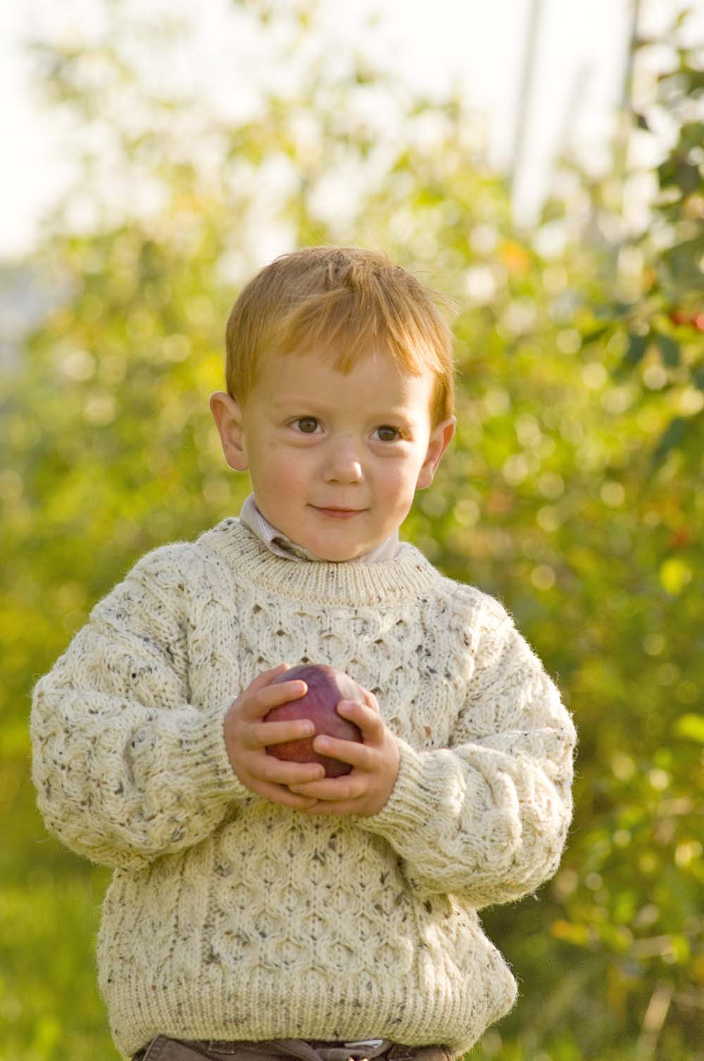 Boy holding apple