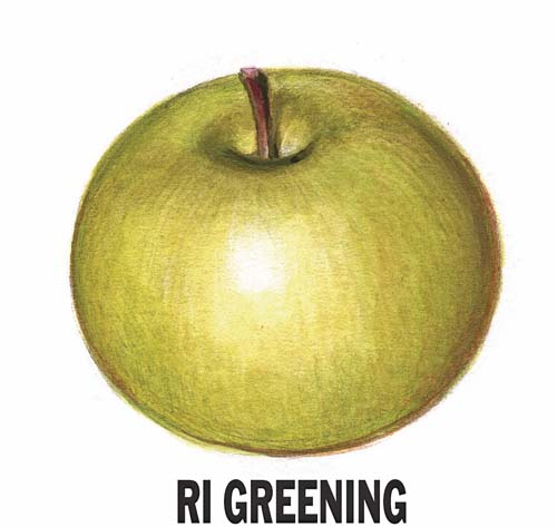 RI Greening Apple