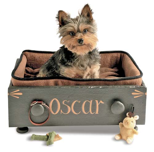 Oscar, designer Matthew Mead's Yorkshire terrier, is ready for winter, with a comfy place to curl up in his free time. The fleece material is made by Polartec of Lawrence, Massachusetts, and it's both durable and washable. Drawer knobs keep his collar and favorite toy handy. 