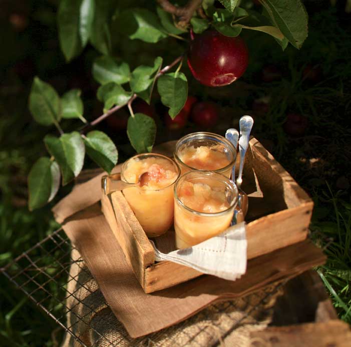 Orchard Applesauce