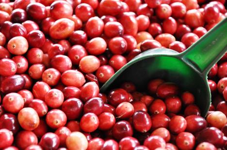 Cranberries scoop