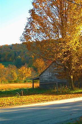 Fall Barn (user submitted)