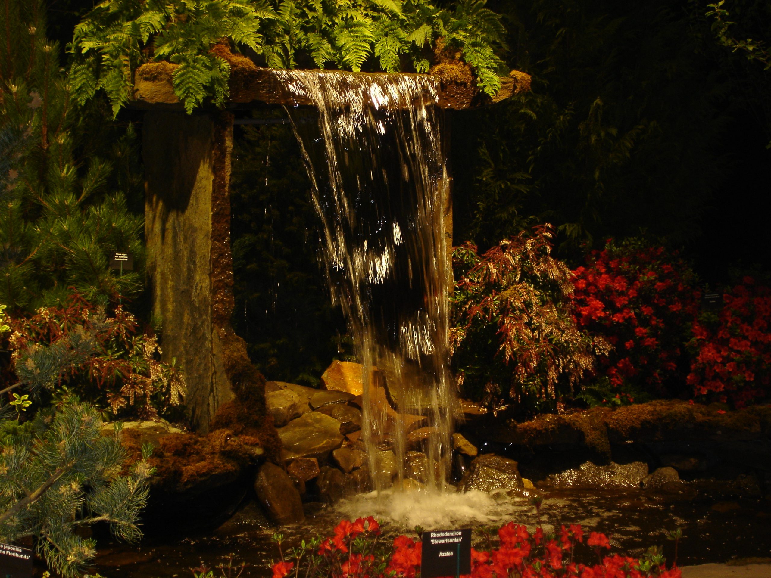 Boston Flower Show Waterfall New England