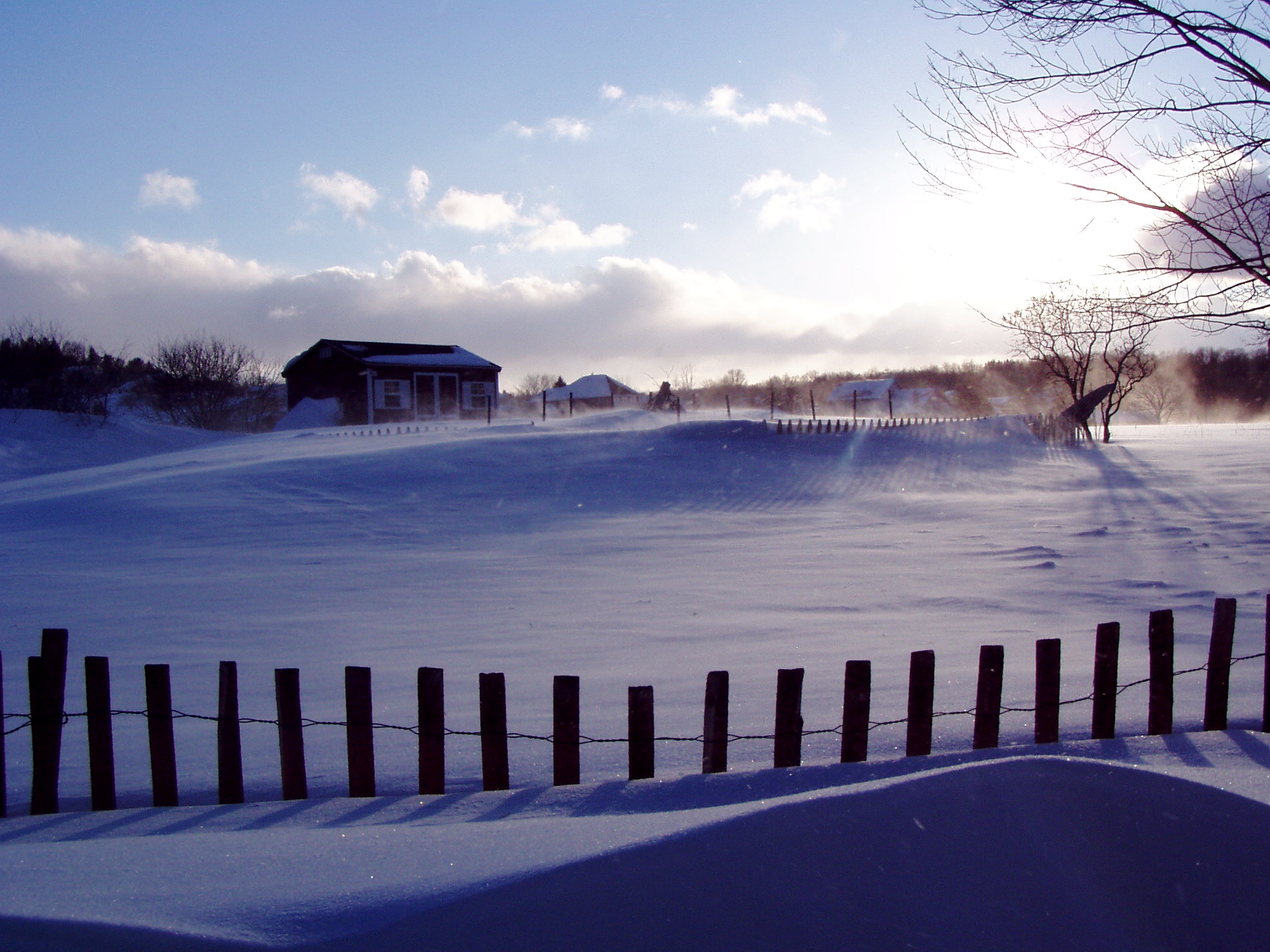 Winter Landscape (user submitted)