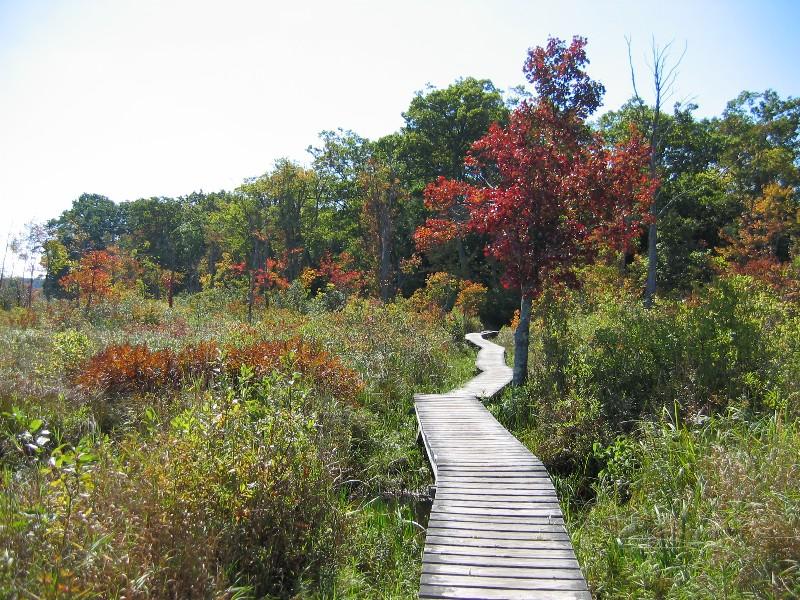 The Boardwalk Around Little Pond (user submitted)