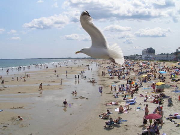 Old Orchard Beach (user submitted)