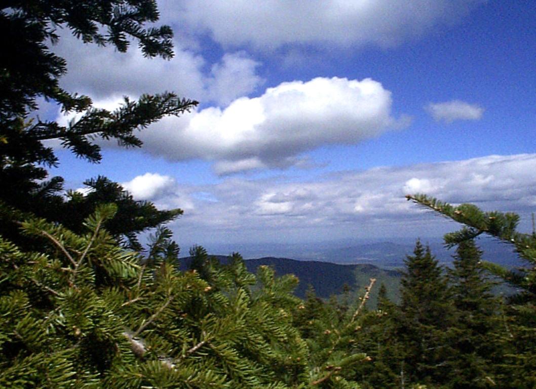 Atop Mount Mansfield (user submitted)