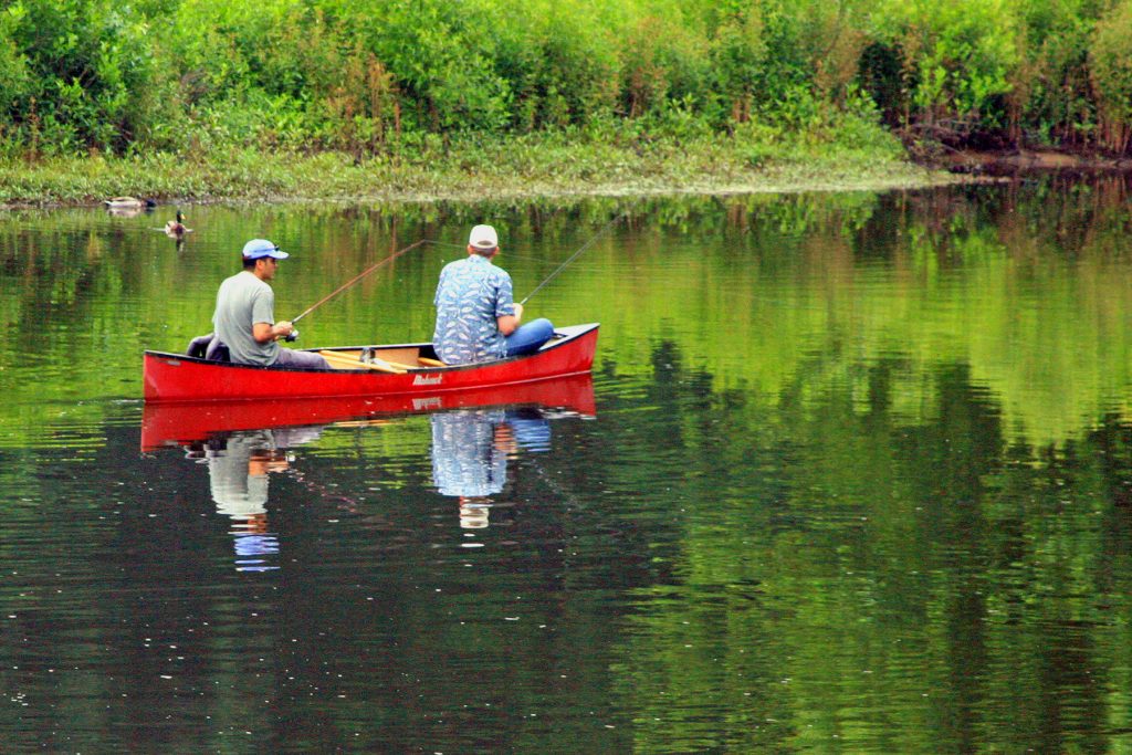 Sunday Fishing - New England