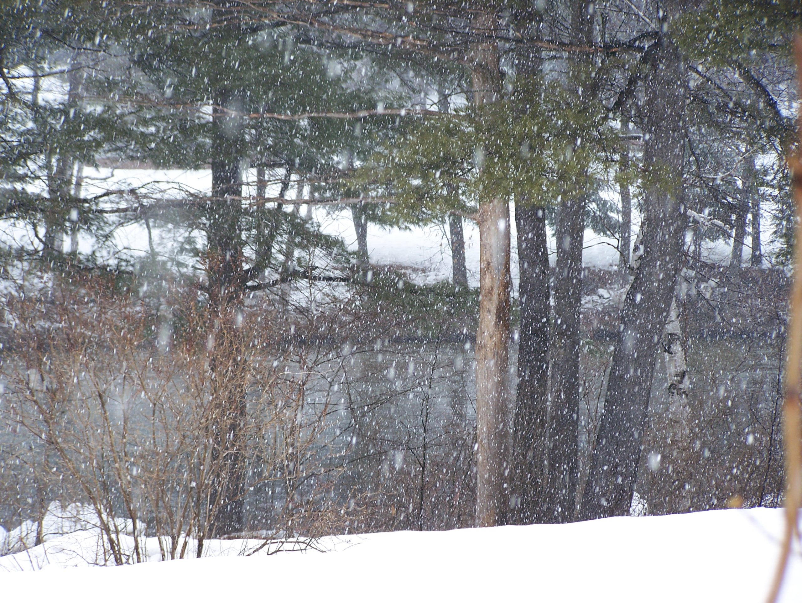 Winter Storm On Saco River (user submitted)