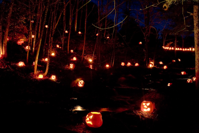 The Hills Are Alive With Pumpkins (user submitted)