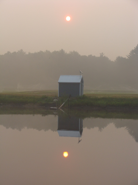 Freetown Farm Llc, Cranberry Bog In Massachusetts (user submitted)