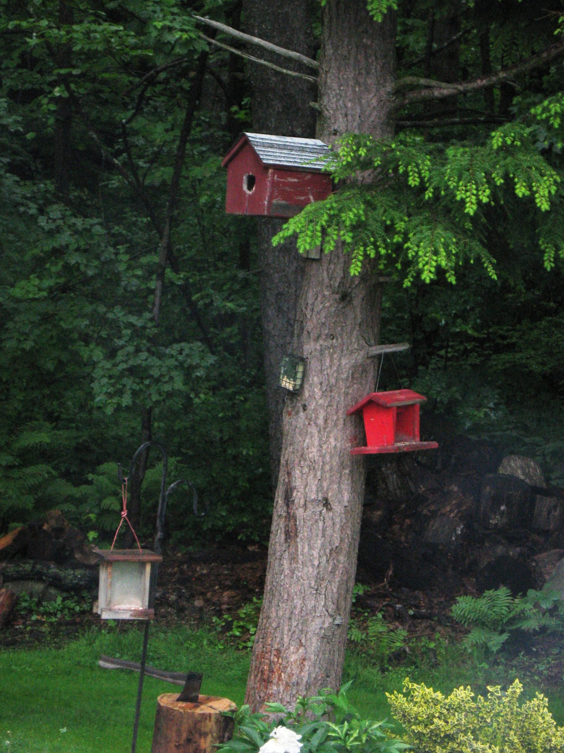 Bird Feeders (user submitted)