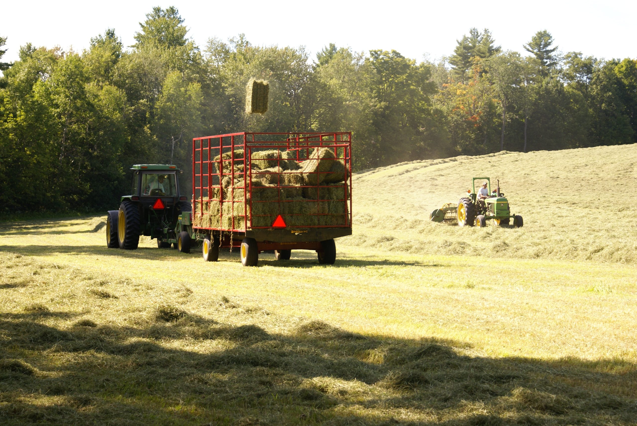 Baling Hay 2 (user submitted)