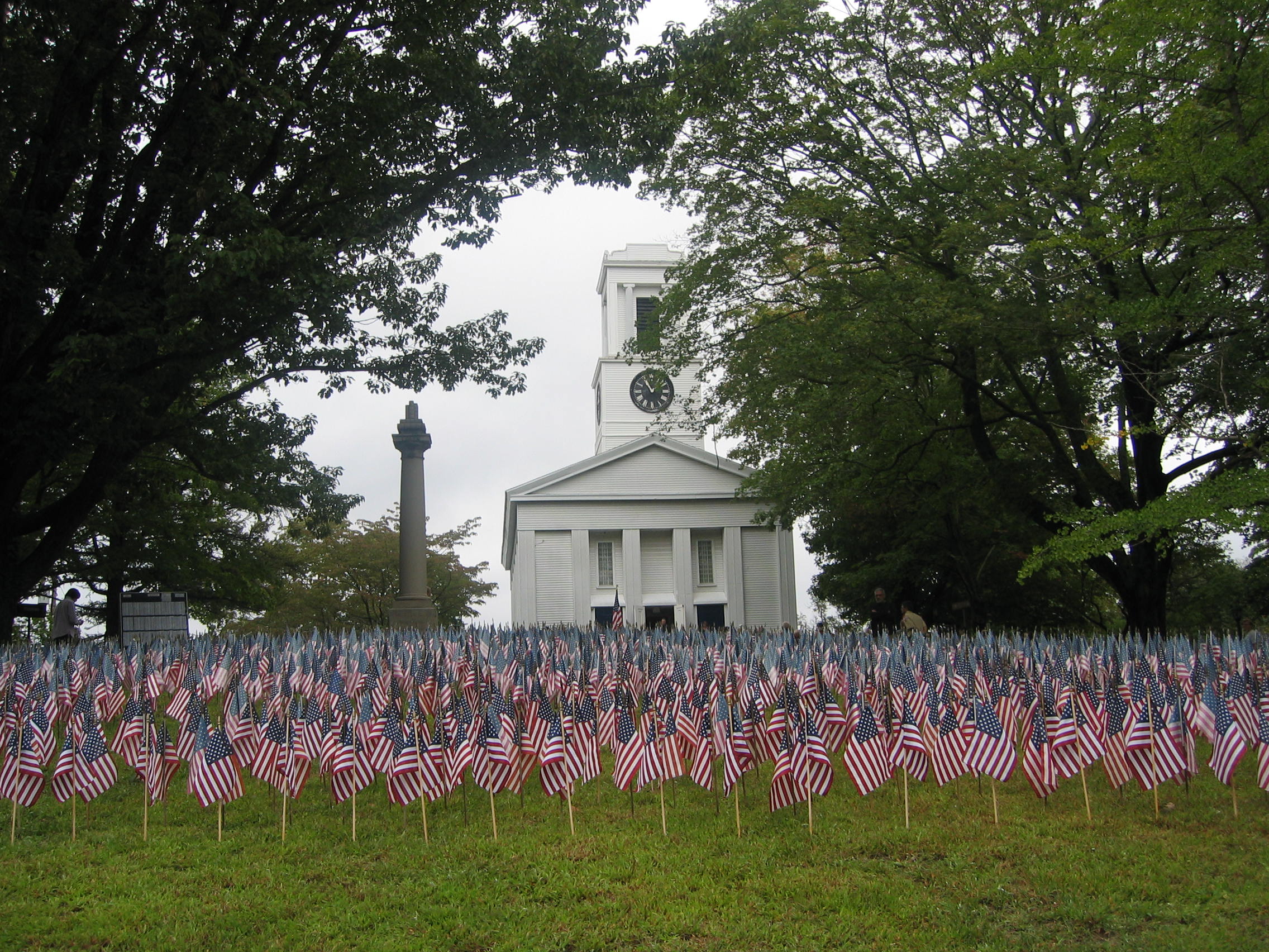 Field Of Flags (user submitted)