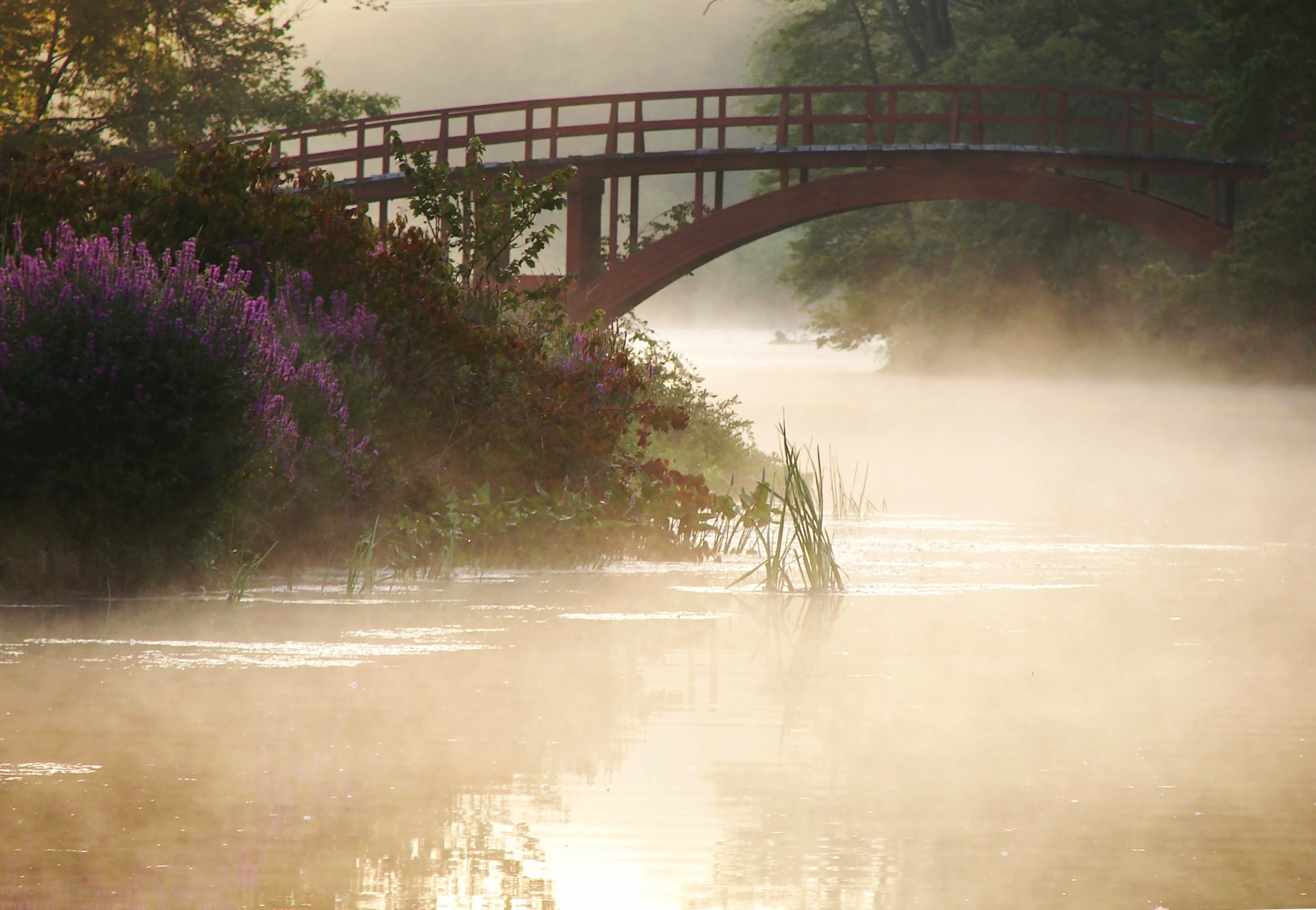 Bridge In The Mist (user submitted)