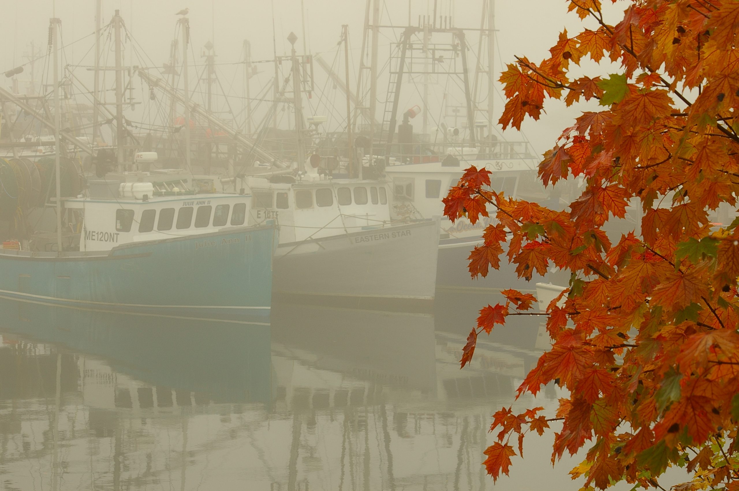 Portsmouth Fall Fog (user submitted)