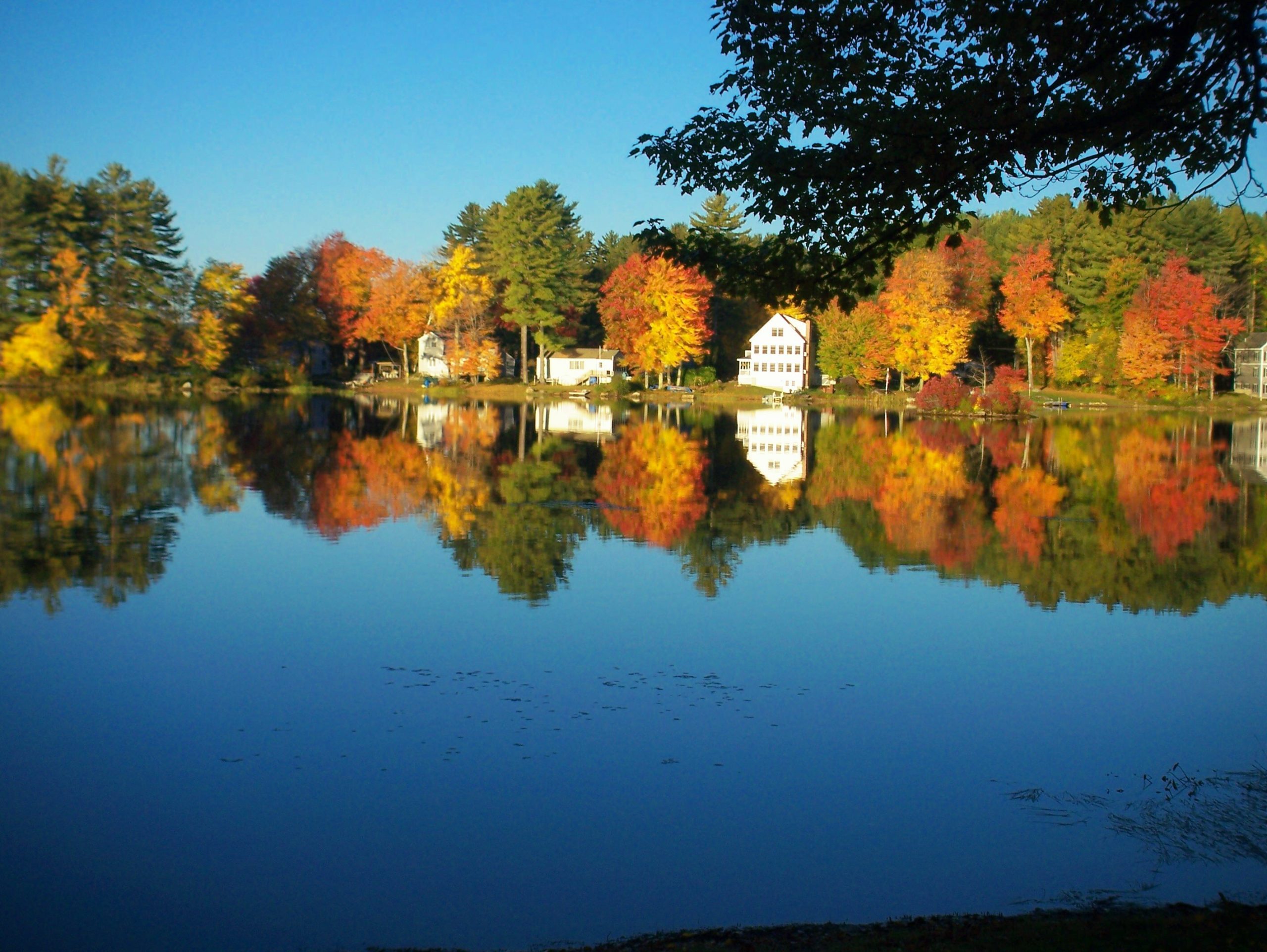 Reflections At Swains Lake (user submitted)