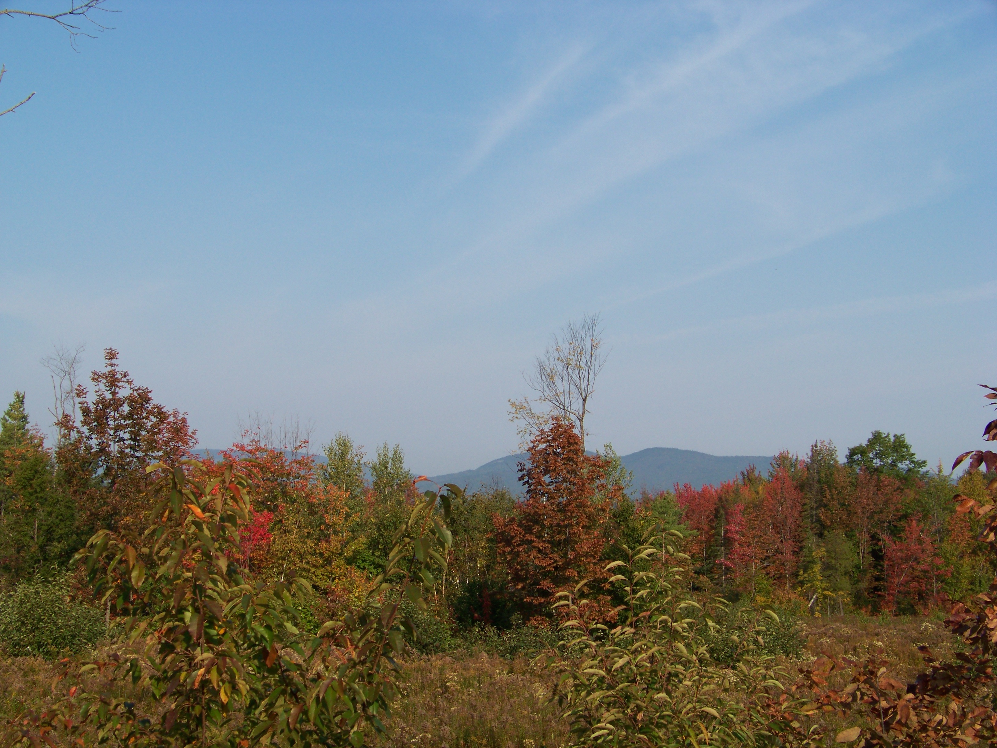 Early Autumn In The Western Foothills Of Maine New England Today