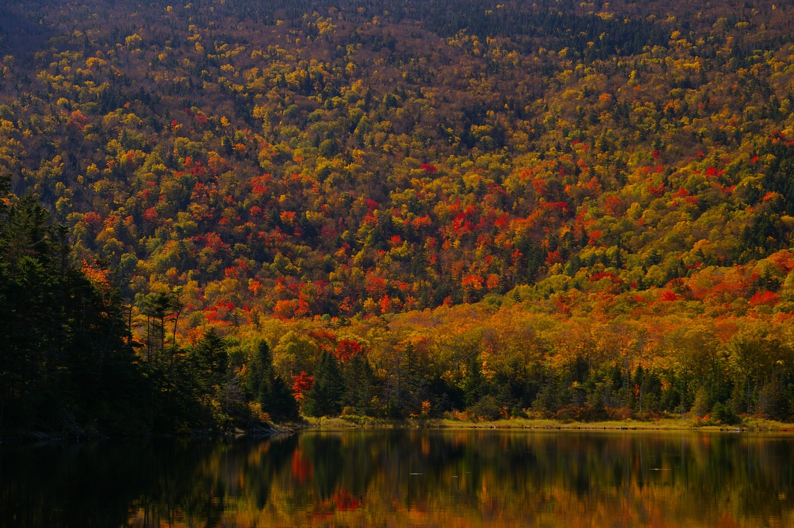 New Hampshire Fall Color (user submitted)