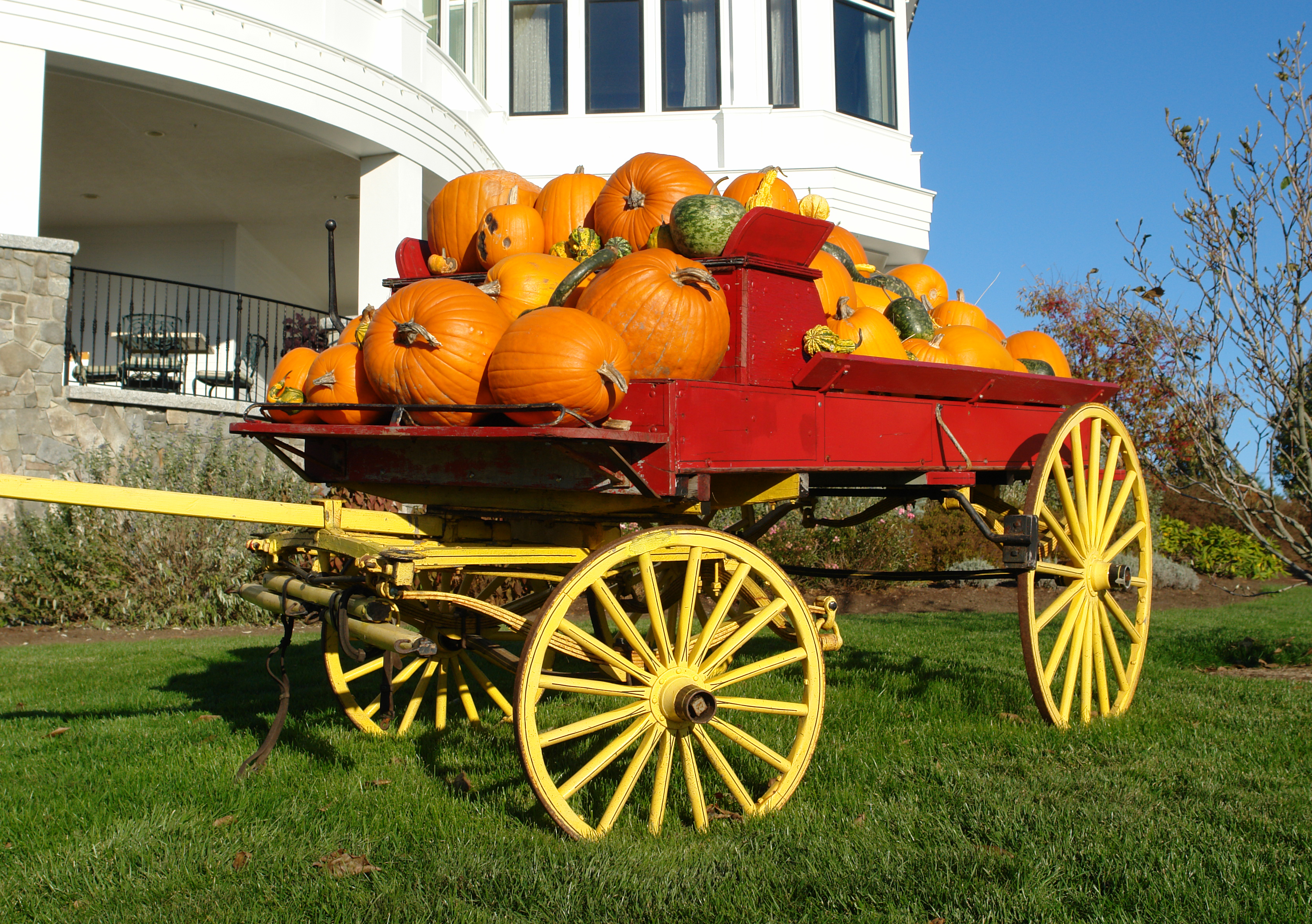 Pumpkins On A Wagon - New England Today