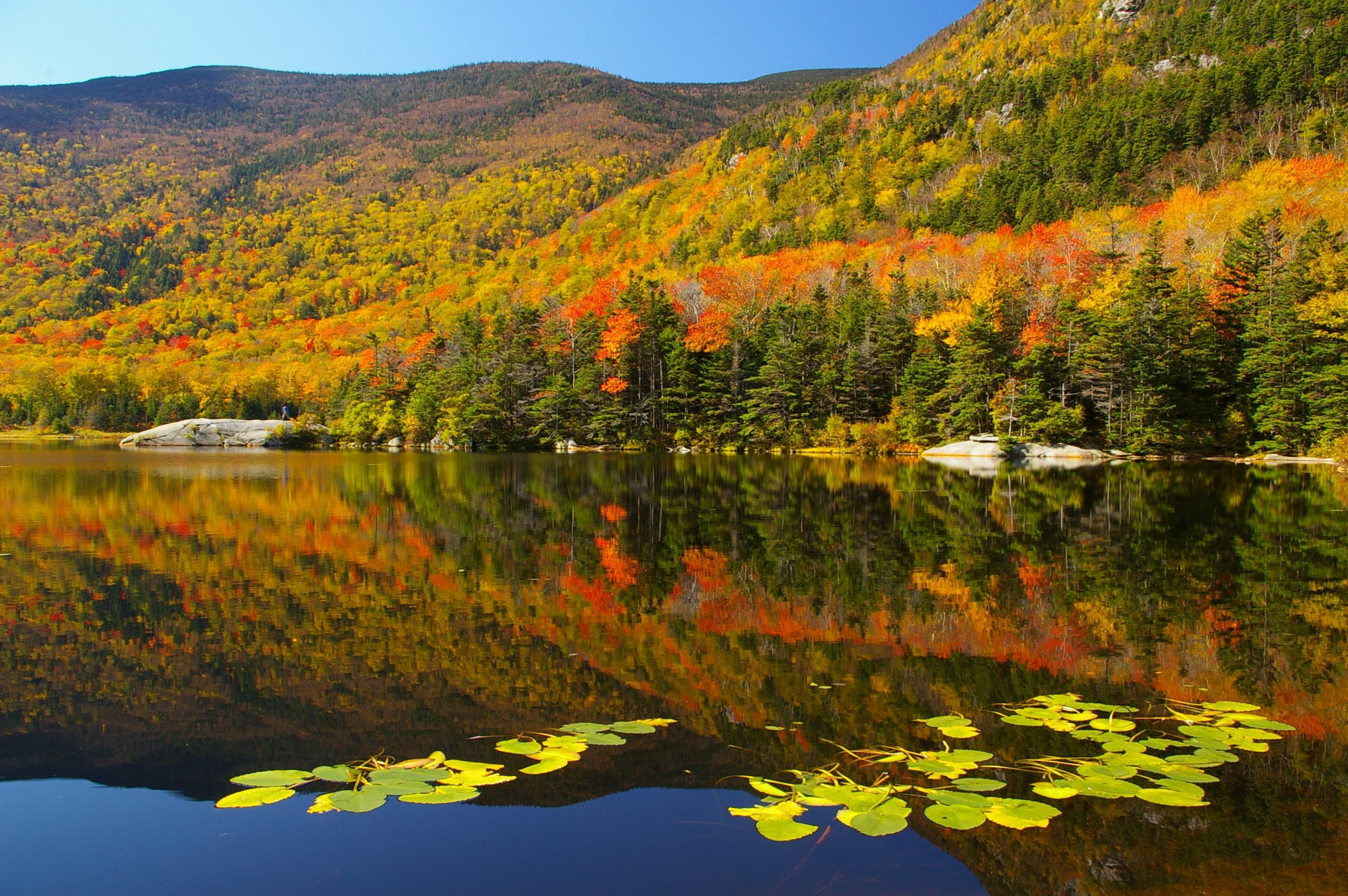 Fall Colors At Beaver Pond (user submitted)