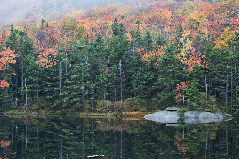 Beaver Pond Color (user submitted)