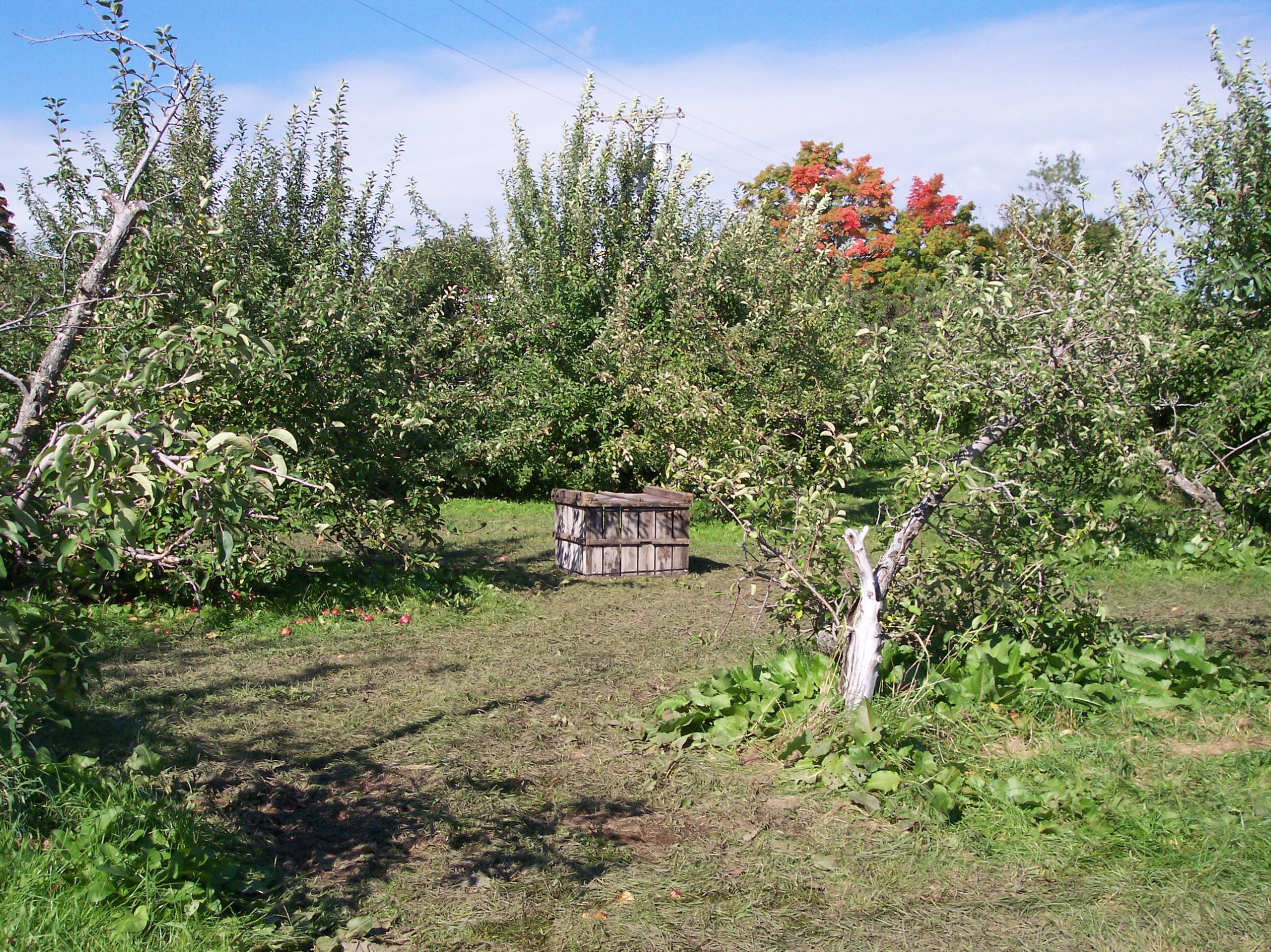Applecrest Orchard (user submitted)