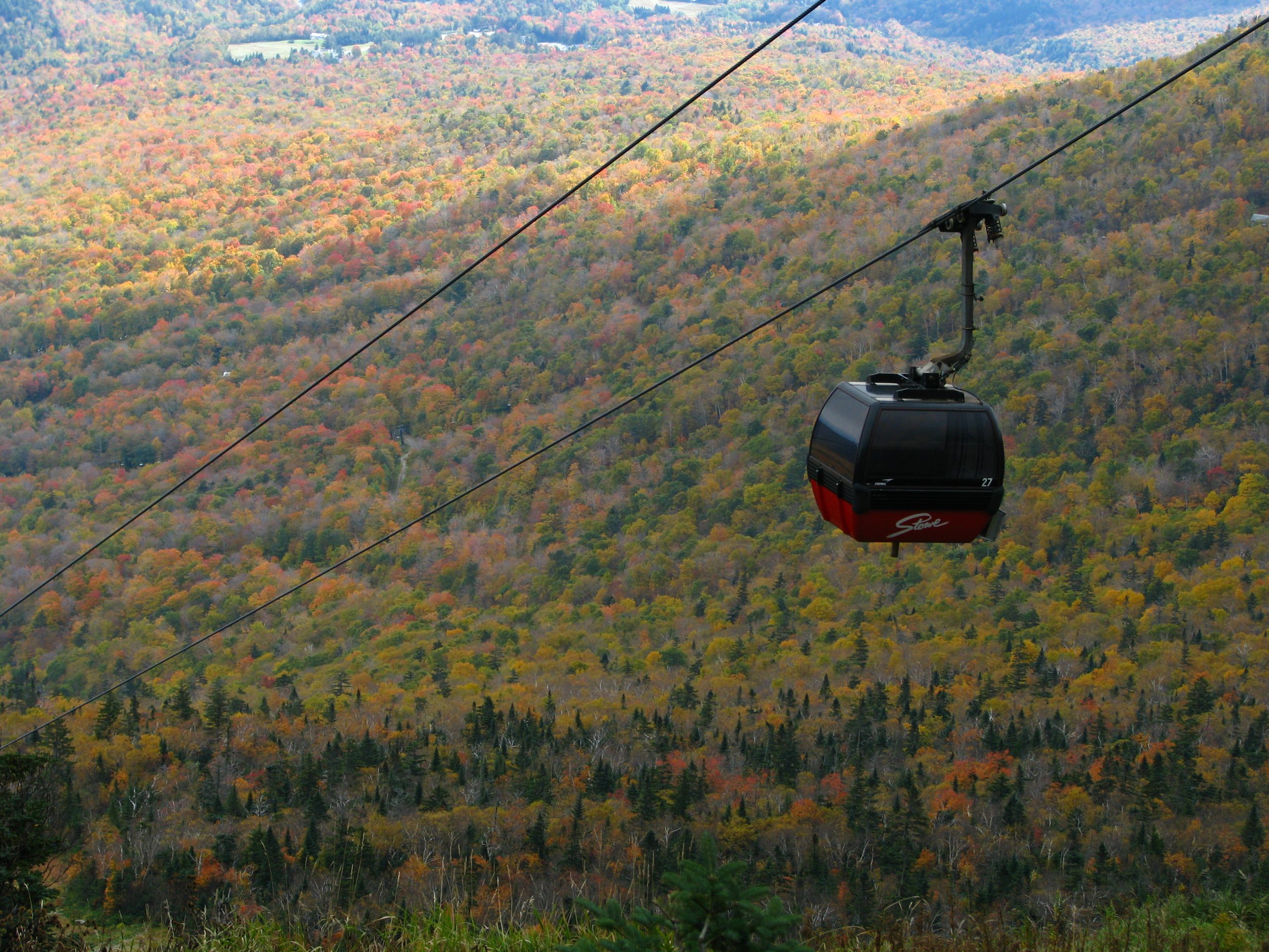 Gondola Against The Foliage (user submitted)