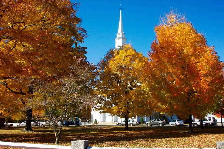 Holliston Foliage (user submitted)