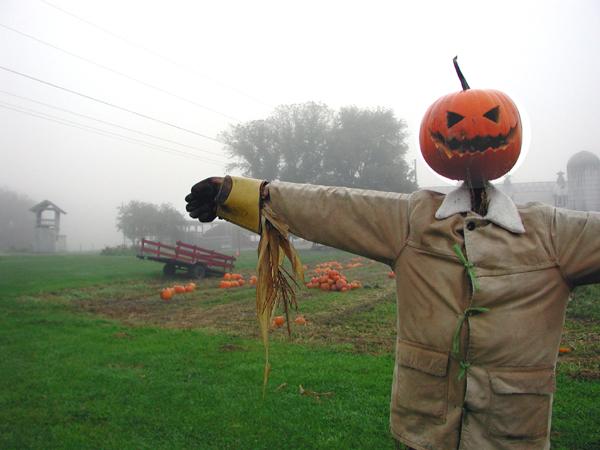 Scarecrow in Williston, VT